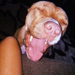 Meet your Posher, Layla